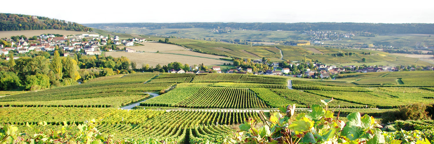 Village de vignerons Villers-sous-Châtillon
