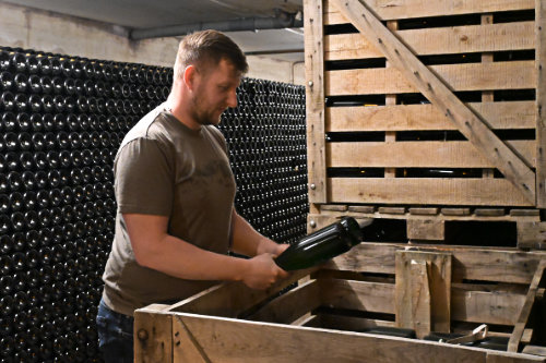 Vieillissement en cave Champagne Loriot Père et Fils à Villers-sous-Châtillon